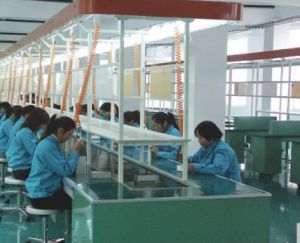 電光電子有限公司