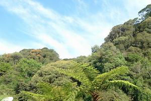 古牛絳自然保護區 古牛絳自然保護區