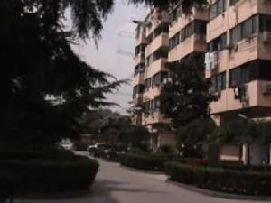 金浜路105弄小區 金浜路105弄小區