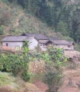 白墳寨自然村 白墳寨自然村