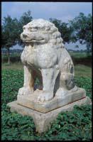 唐敬宗莊陵石獅