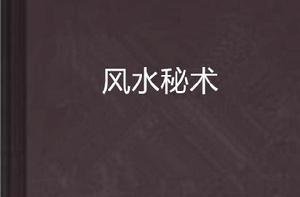 風水秘術[新浪讀書小說]