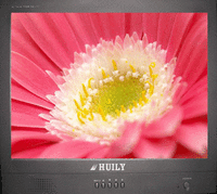 慧利21寸CRT監視器