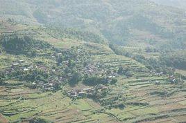 回龍寨一自然村 回龍寨一自然村