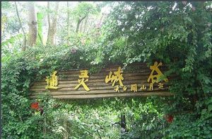 通靈峽谷 通靈峽谷