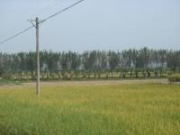 上角里村自然村