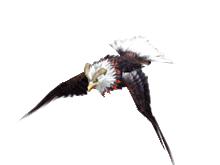 天山派[網遊《新天龍八部》十二大門派之一]