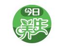 今日養生 今日養生