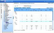 wabacus報表頁面