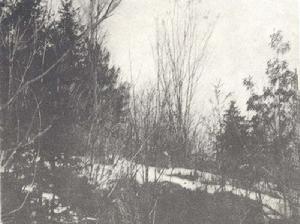 茄子河十二烈士山