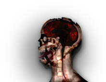 Necroa 病毒進化圖解