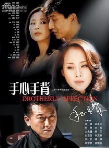 手心手背[2002年何琳主演電視劇]