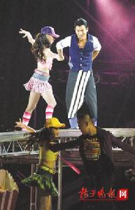 劉德華2007年中國巡迴演唱會·成都站