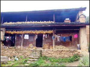 塘子舊地基村 塘子舊地基村