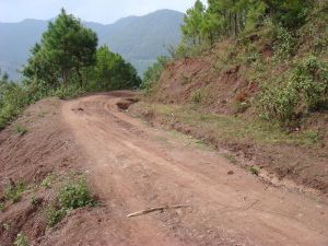 霧路自然村 霧路自然村