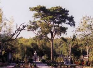 許旺烈士陵園 許旺烈士陵園