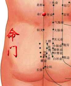 命門火衰證 命門火衰證