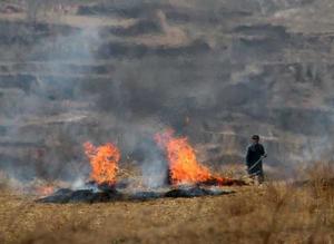 燒荒墾種 燒荒墾種