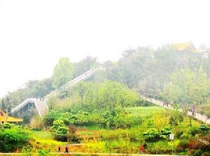 凌雲山國家森林公園