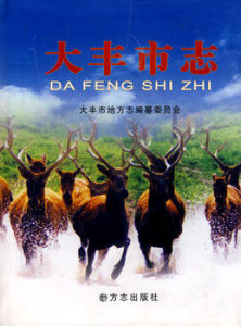 大豐市志 大豐市志