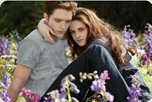 暮光之城4之找字母