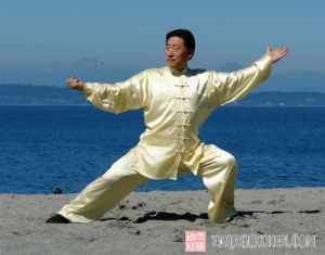 陳小旺太極養生會館 陳小旺太極養生會館