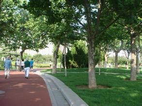 體育公園[杭州灣新區體育公園]