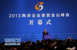兩岸企業家峰會 兩岸企業家峰會