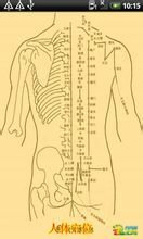 人體穴點陣圖