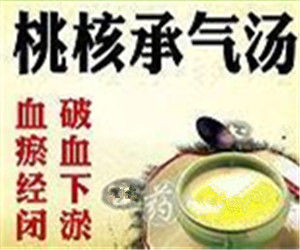 桃仁承氣湯 桃仁承氣湯