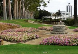 珀斯國王花園 珀斯國王花園