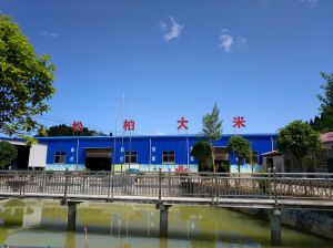 松柏大米 松柏大米