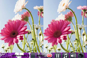 情人節鮮花找茬 情人節鮮花找茬