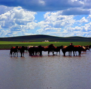 沙布台蘇木查布湖旅遊區 沙布台蘇木查布湖旅遊區