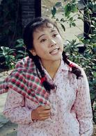 喜盈門[1981年趙煥章導演電影]