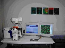 中國科學院動物研究所