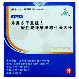 艾夫吉夫 艾夫吉夫