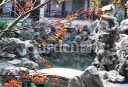 蘇州繡園 蘇州繡園