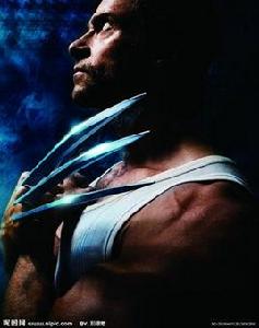 亞德曼金屬 亞德曼金屬