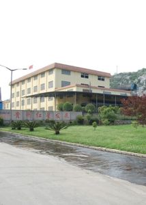 紅星發展 紅星發展