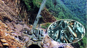 百鶴玉地質公園 百鶴玉地質公園