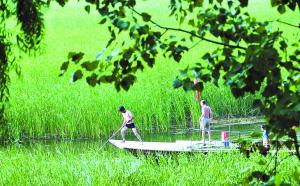 文安縣[廊坊市下轄縣]