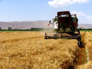 （圖）二道渠鄉