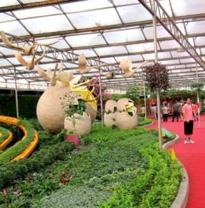 壽光市蔬菜高科技示範園 壽光市蔬菜高科技示範園