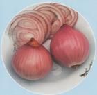 東北頂球洋蔥 東北頂球洋蔥