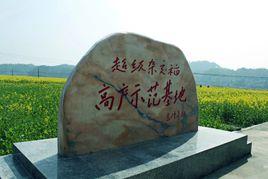 羊古坳鎮 羊古坳鎮