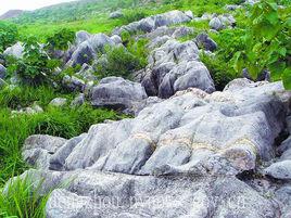 鄧州市杏山地質公園 鄧州市杏山地質公園