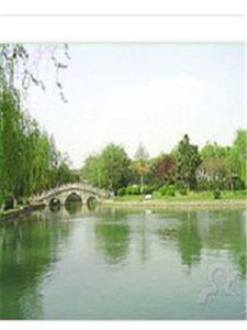 花沖公園 花沖公園