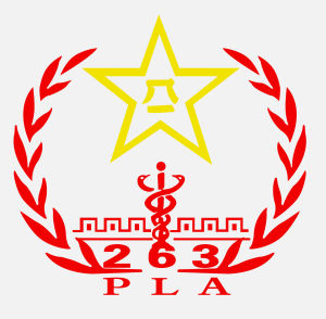 北京解放軍263醫院