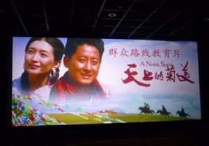 天上的菊美 天上的菊美